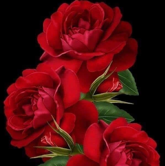 COMING SOON NEW ITEMS FOR 2020 - Picture 1 of 1